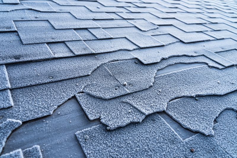 Extends roof lifespan and durability.