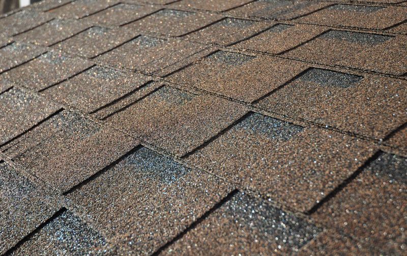 Summer Asphalt Shingles Repairs