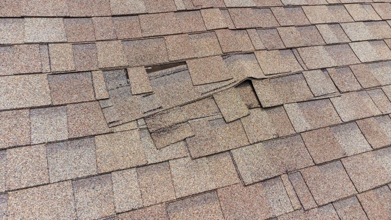 Type of Shingles